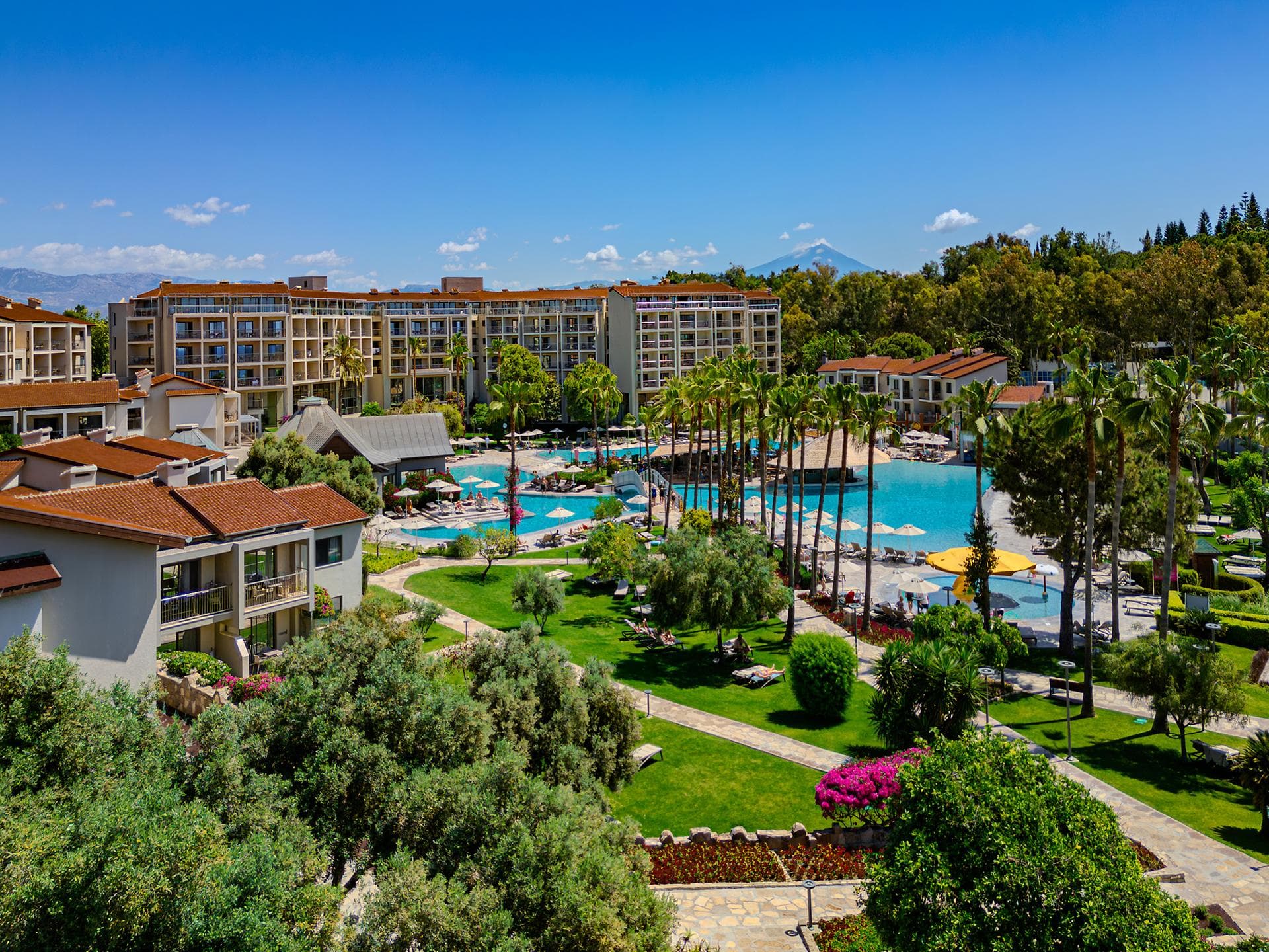 Arum Barut Collection