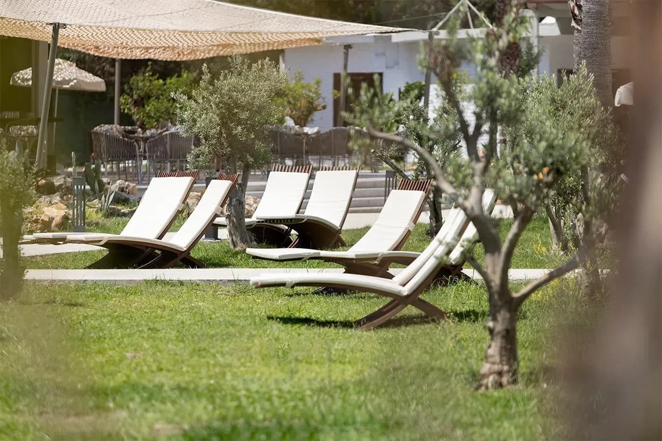 Berry Blue Hotels 4
