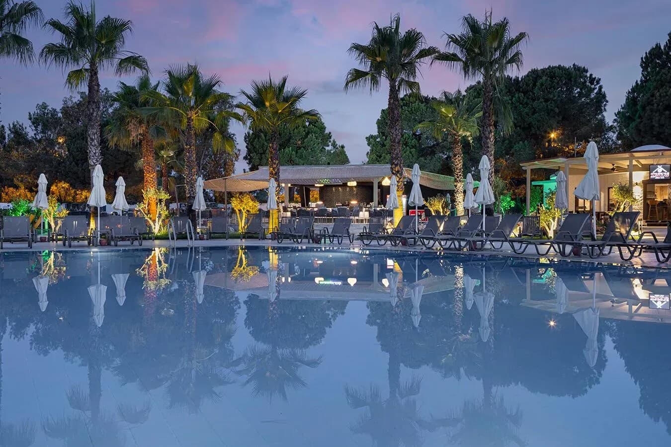 Berry Blue Hotels
