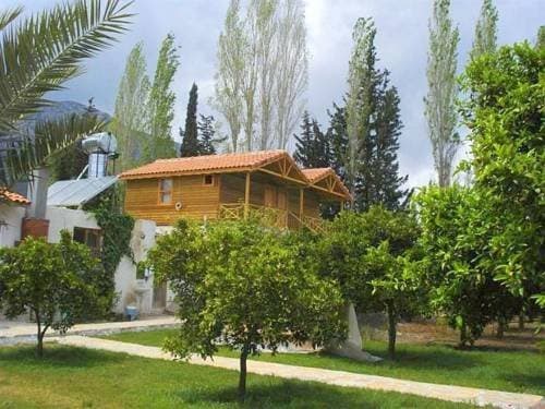 Portakal Bahçesi 2