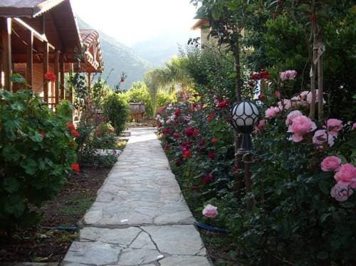 Portakal Bahçesi 4