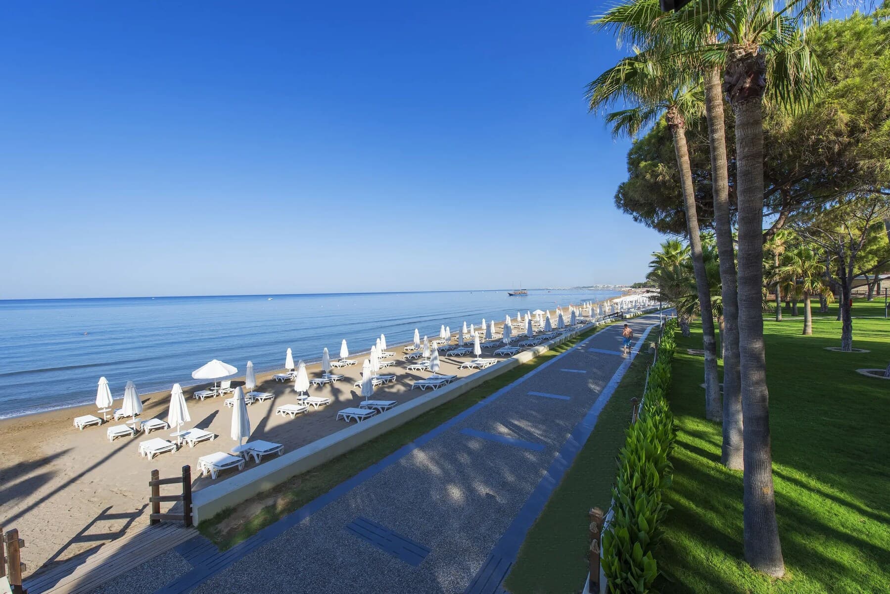 Barut Cennet & Acanthus - Barut Acanthus 3