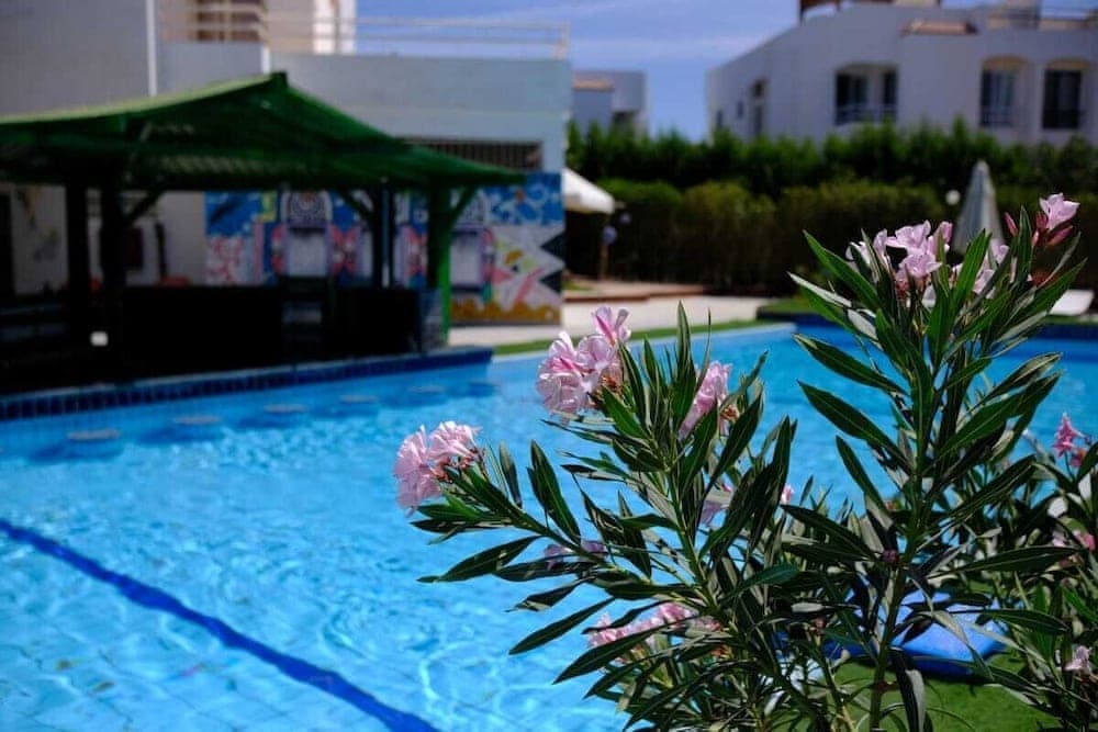 Viking Express Hotel