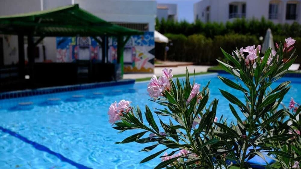 Viking Express Hotel 3