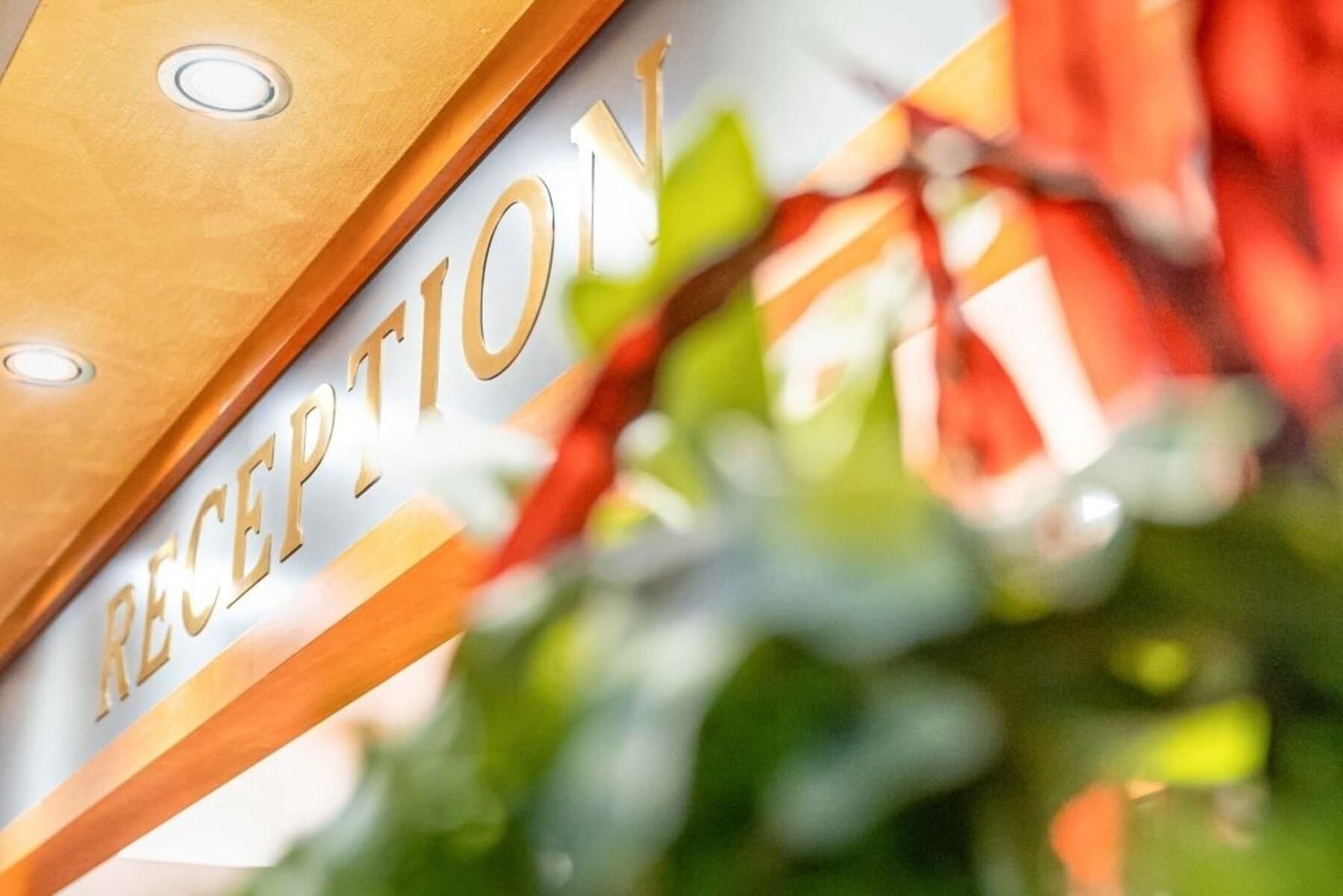 Pineta Park Deluxe Hotel