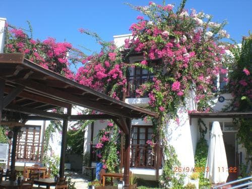 Orion Hotel