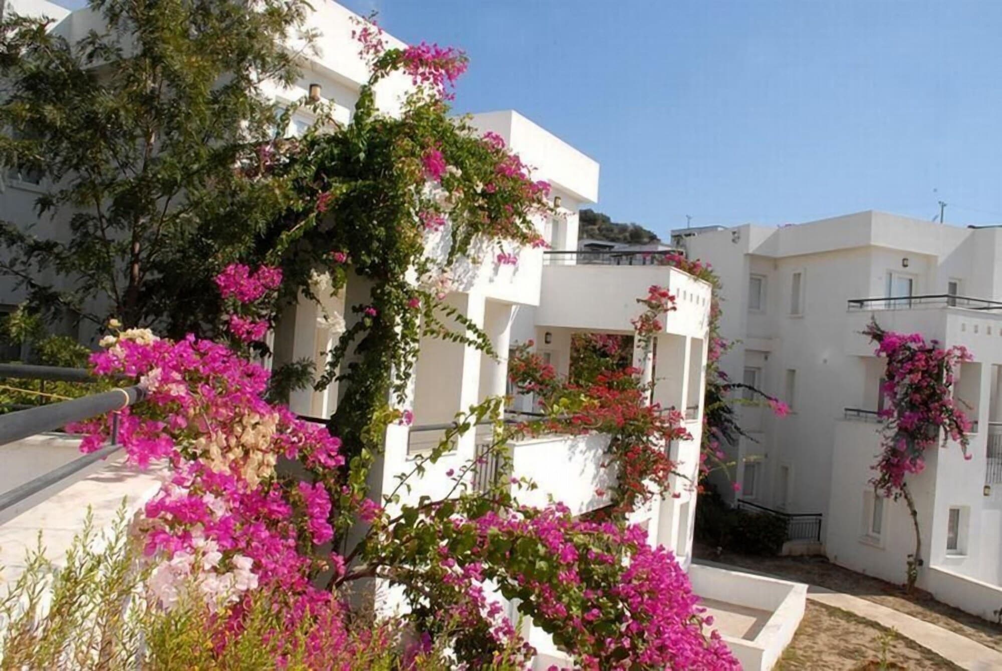 Ayaz Suites