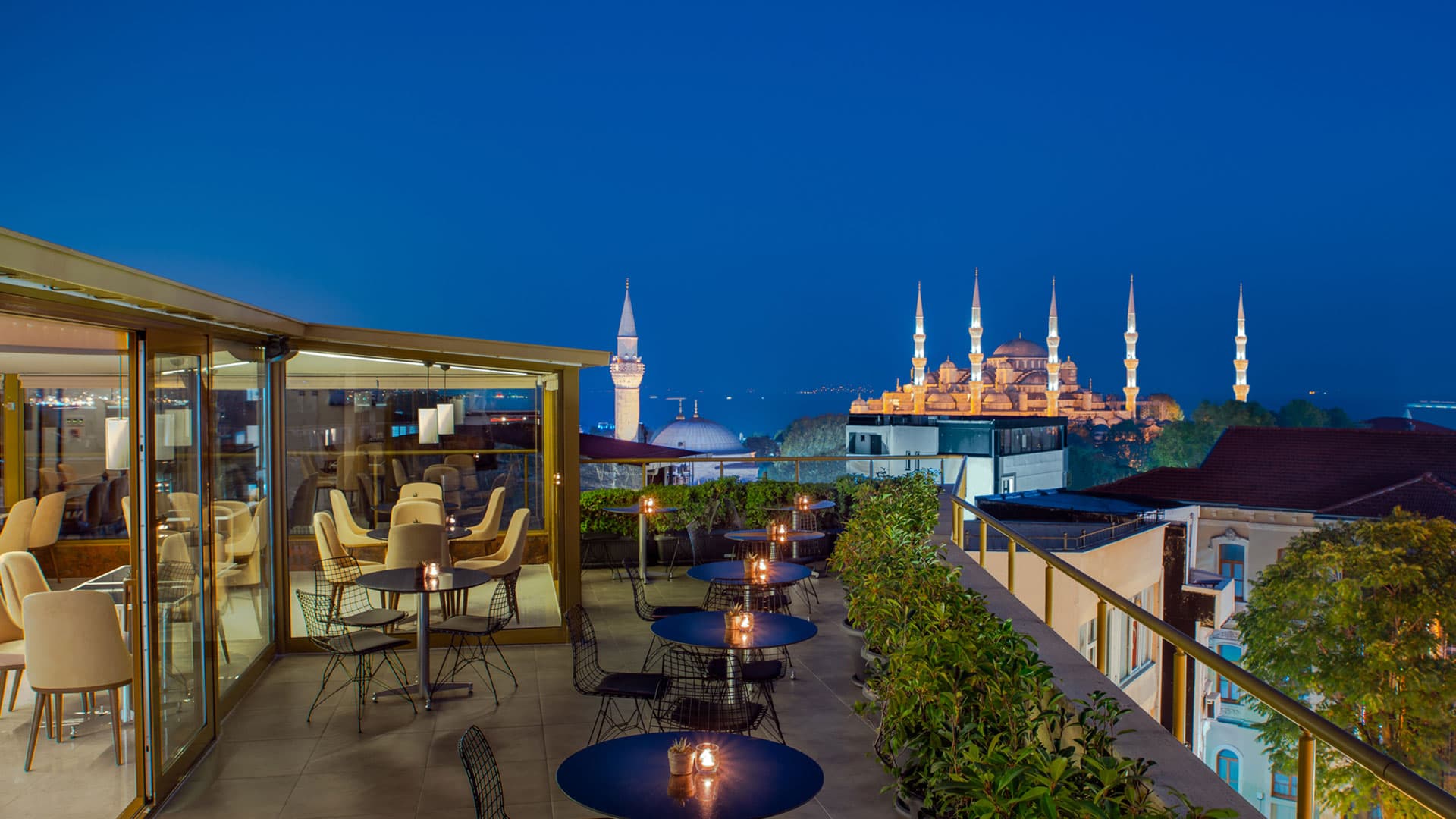 Tan Hotel - Special Category