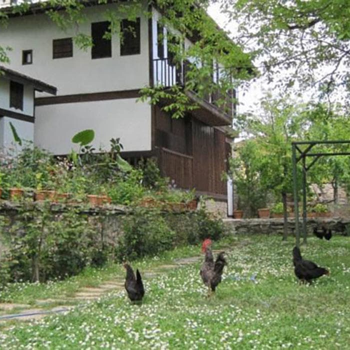 Rasitler Bag Evi