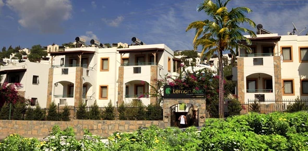 Lemon Tree