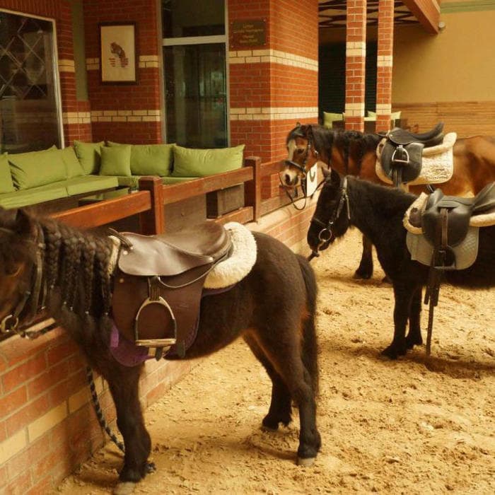 Padok Premium Hotel & Stables
