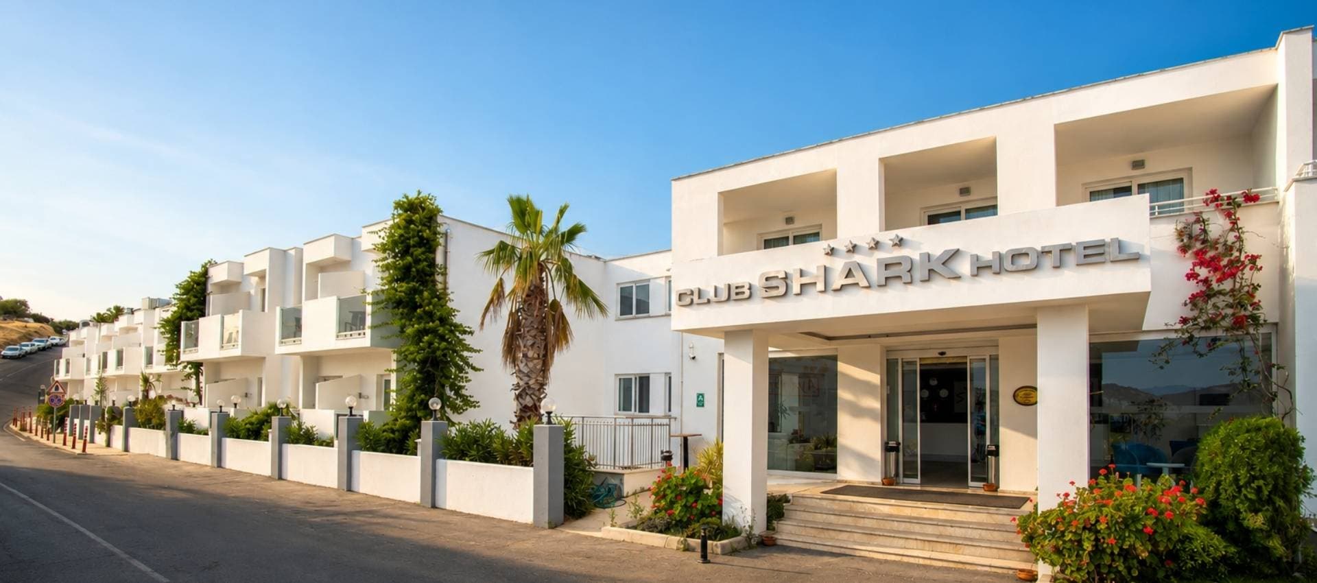 Shark Club