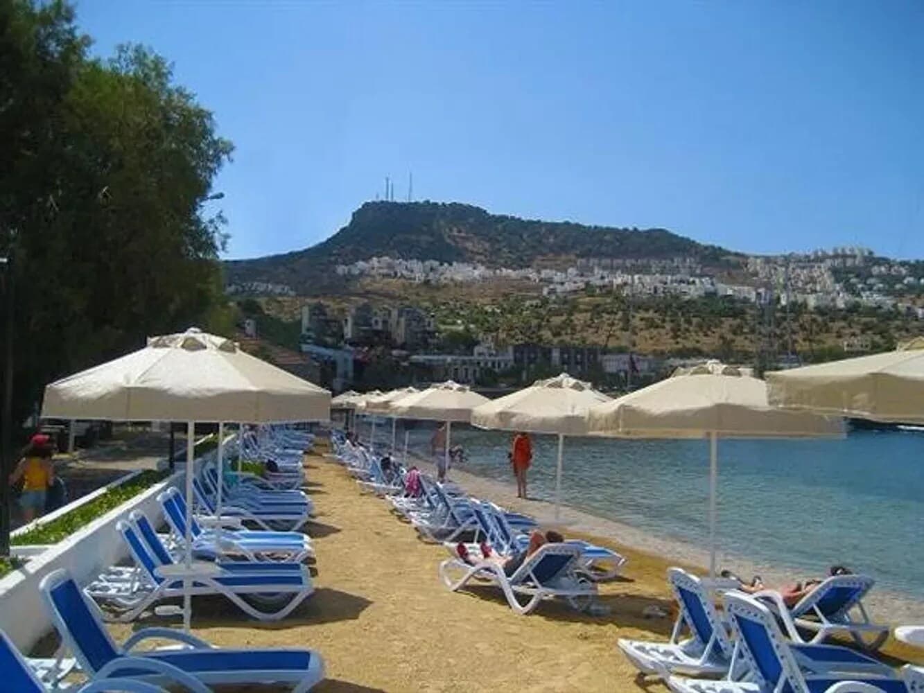 Mare Alba