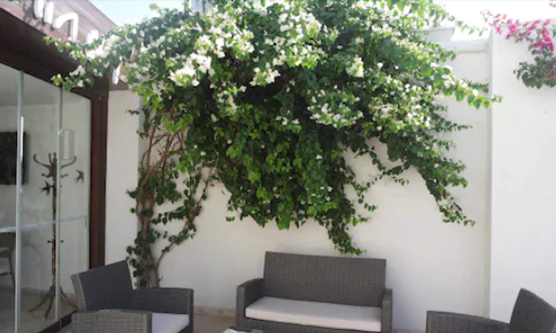 Costa Asmin Hotel 2