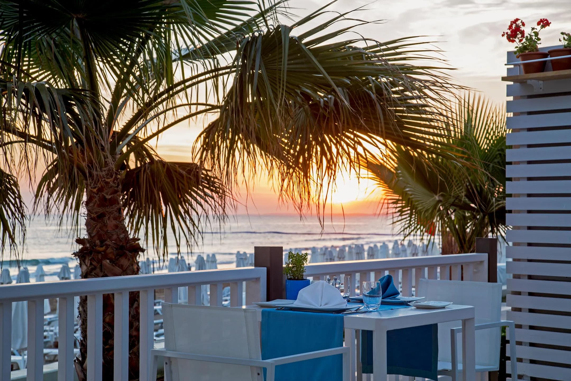 Barut Cennet & Acanthus - Barut Cennet 5