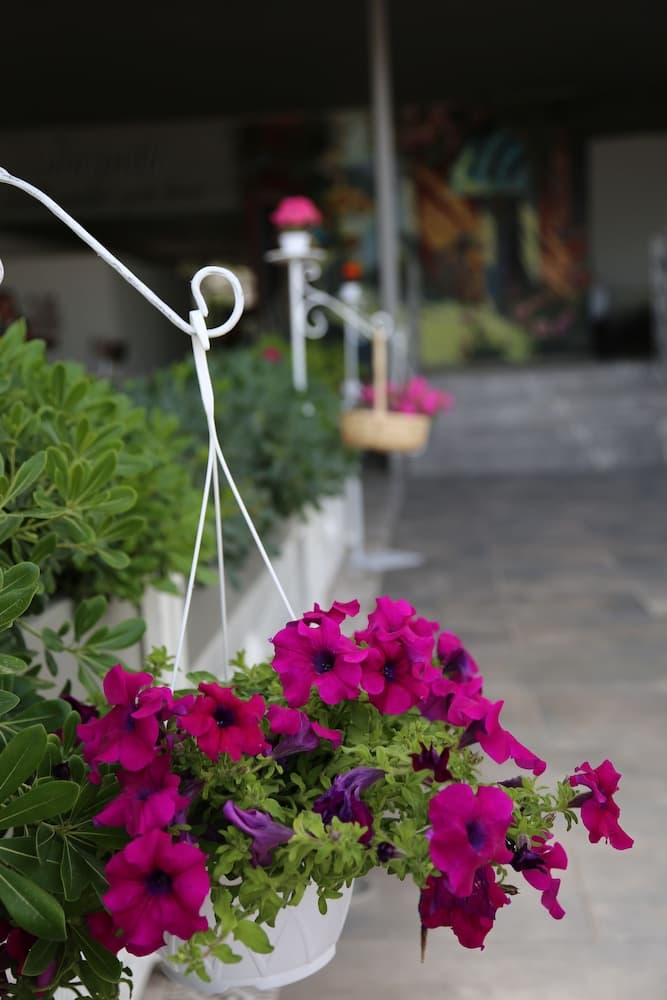 B&B Yüzbasi Beach 2