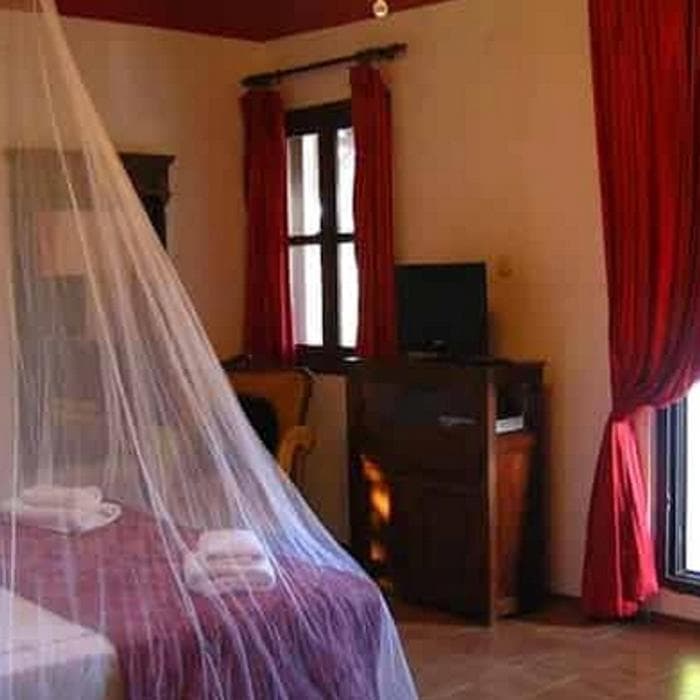 Kaktus Cicegi Otel