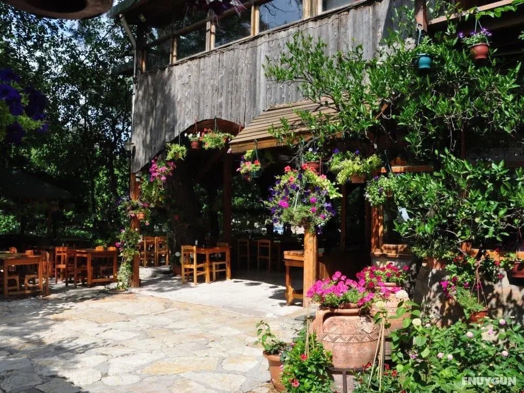 Türkmen Tree Houses