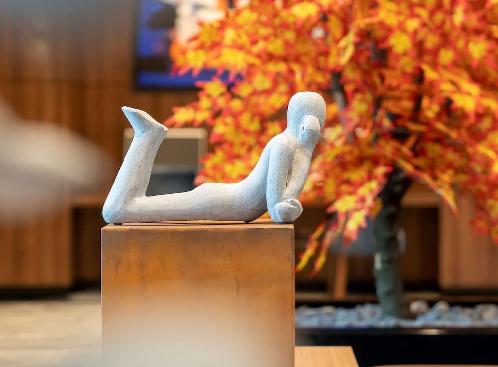 Radisson Blu Hotel Sakarya 5