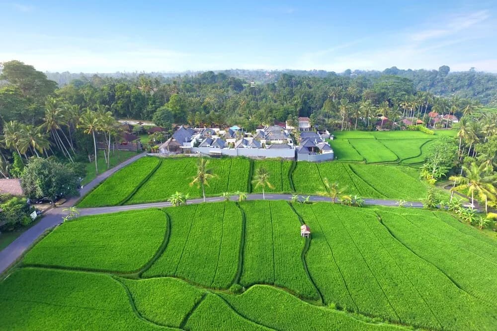 Asvara Villa Ubud 4
