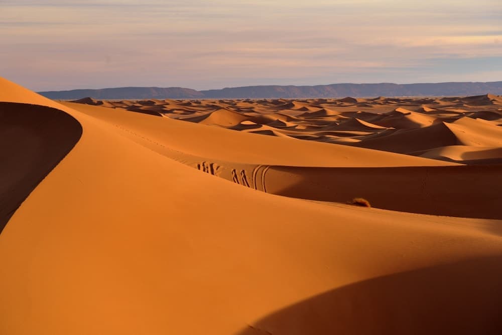 Bivouac Draa 3