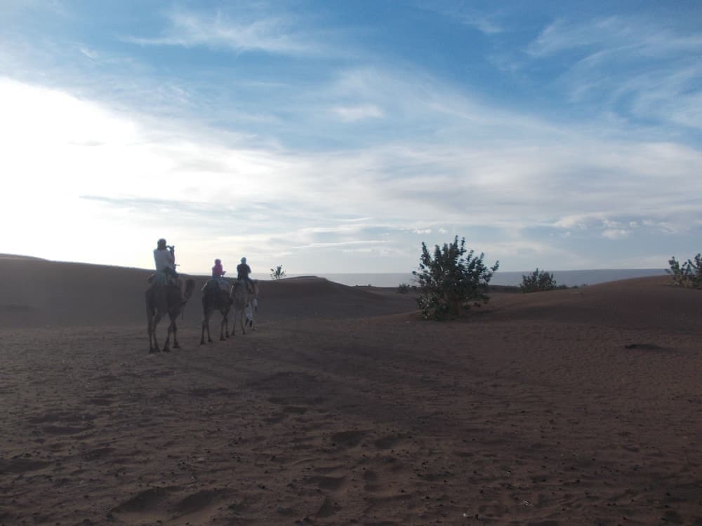Bivouac Draa 5