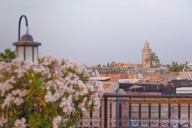 Riad Zouhour 5