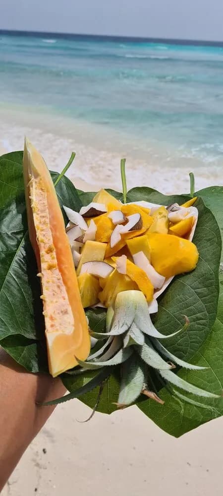 The Ranthari Ukulhas Island Guesthouse & SPA 3