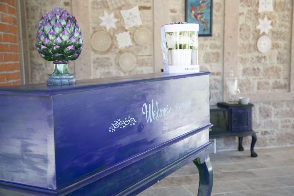 Efruze Otel 3