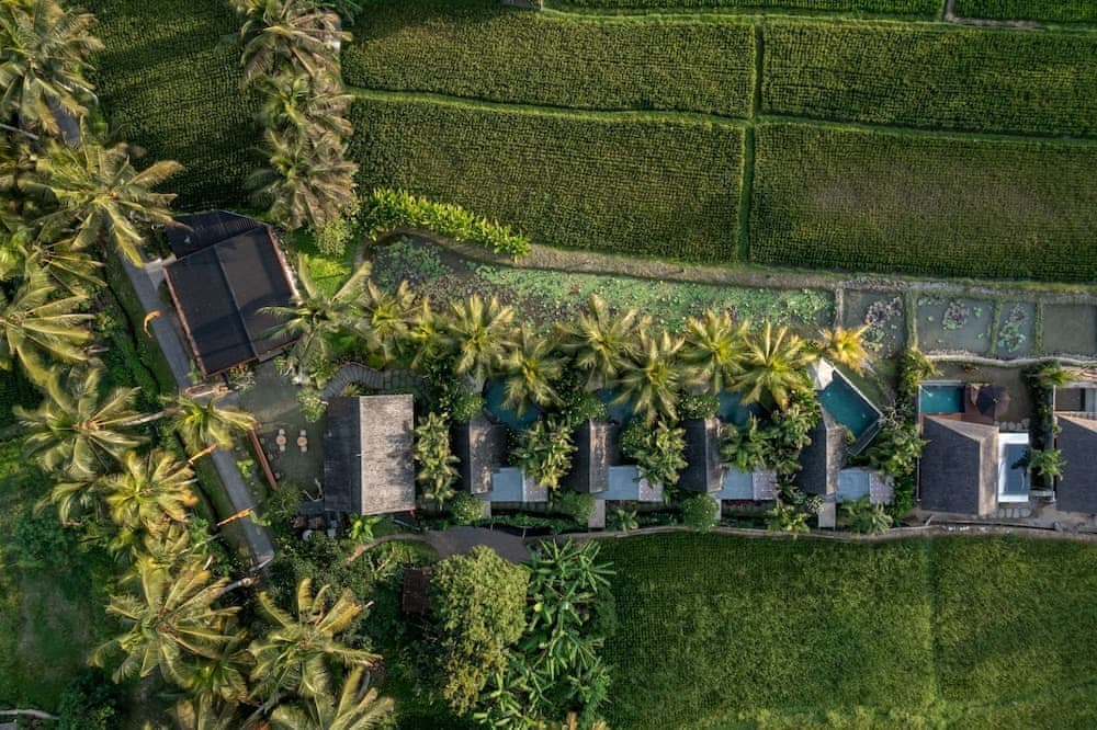 Lasamana Villas Ubud