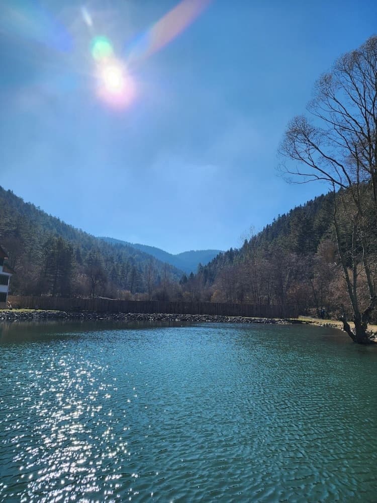 Abant Yesil Vadi 5