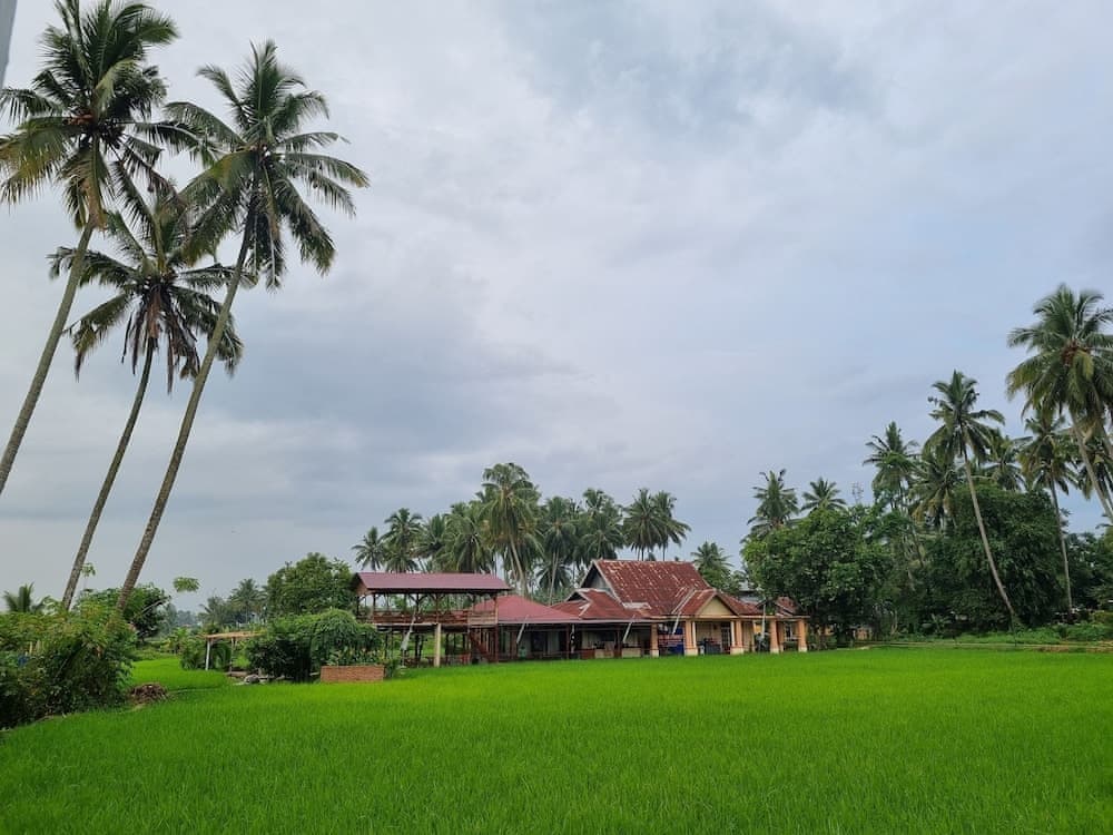 Wafaby Guest House 3