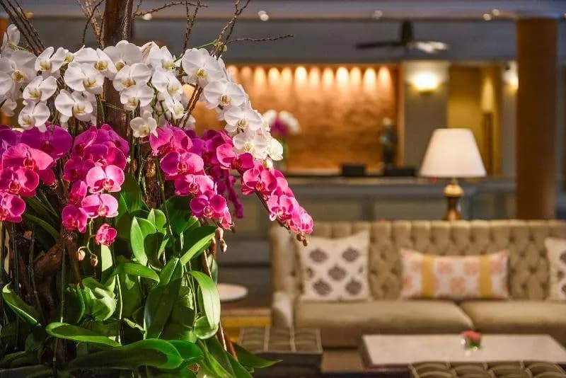 The Laguna A Luxury Collection Resort & Spa 2