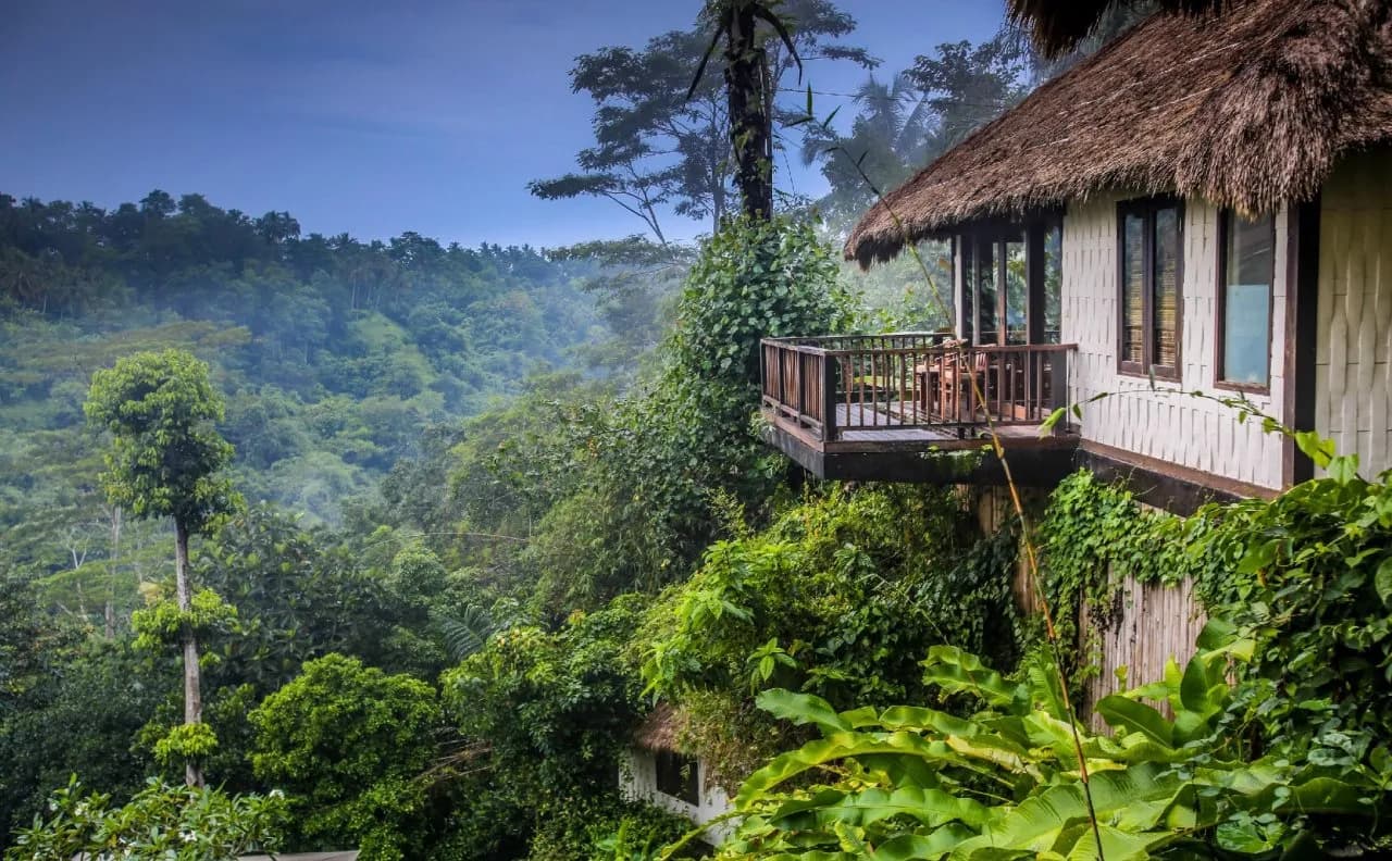 Nandini Jungle by Hanging Gardens 5