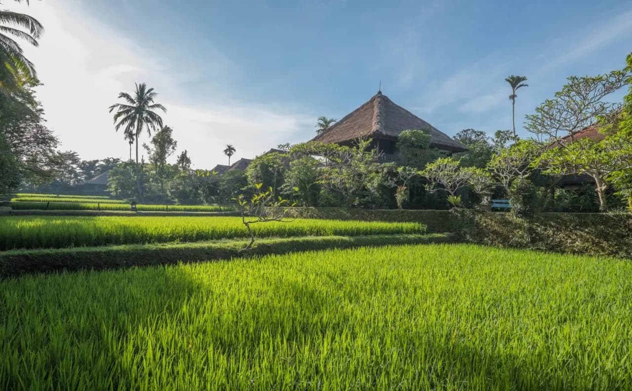 Ananda Ubud Resort 3