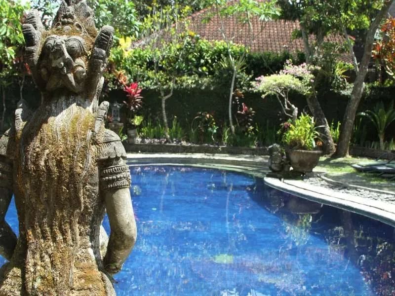 Garden View 4