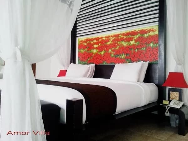 Amor Bali Villas & Spa Resort 2