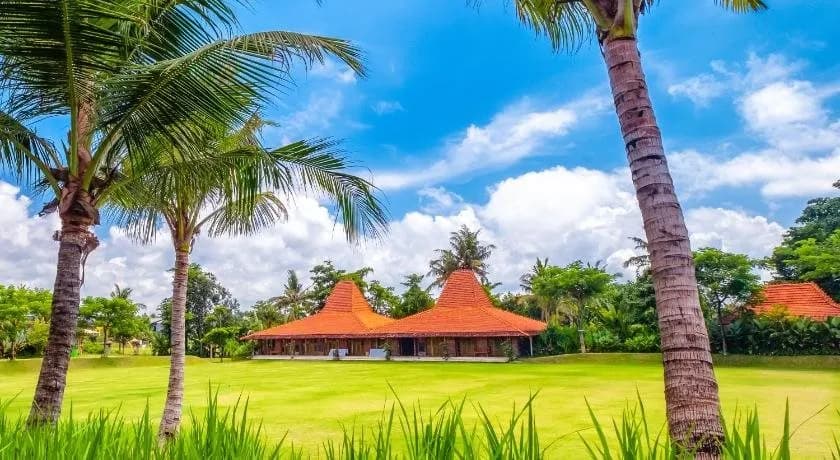 Hotel Komune & Beach Club Bali 3