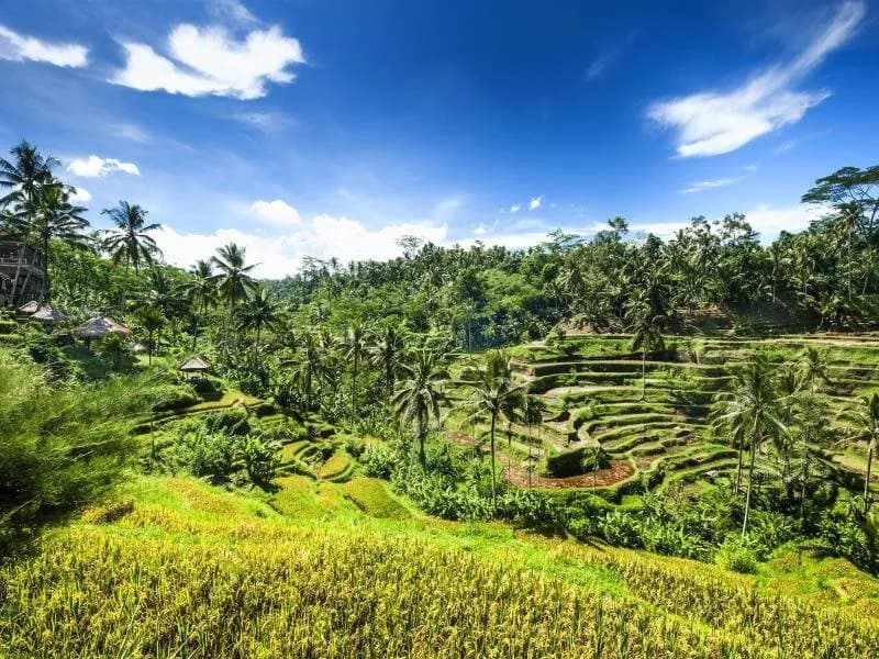 Le Meridien Bali Jimbaran 5