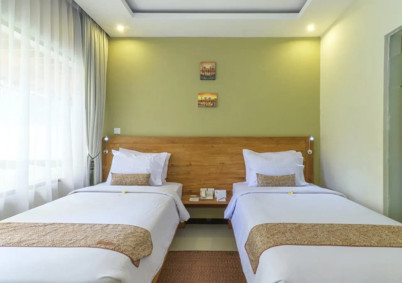 Arana Suite 2