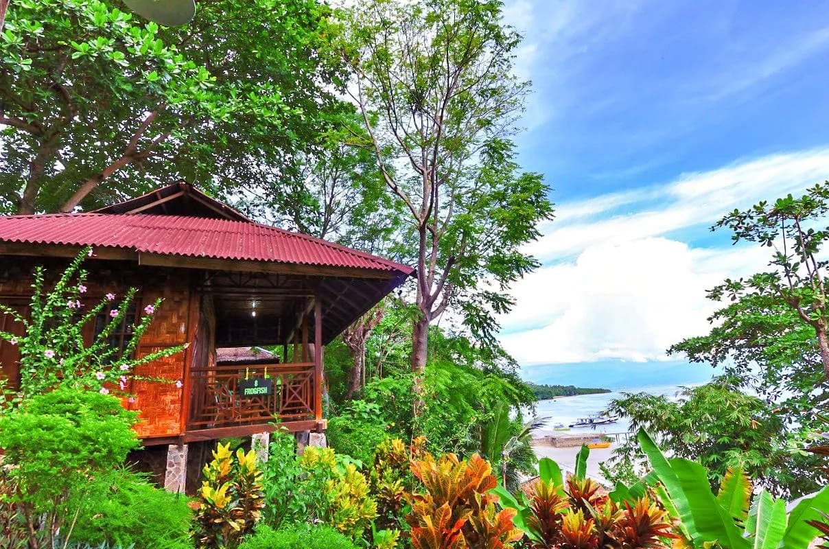 Froggies Bunaken