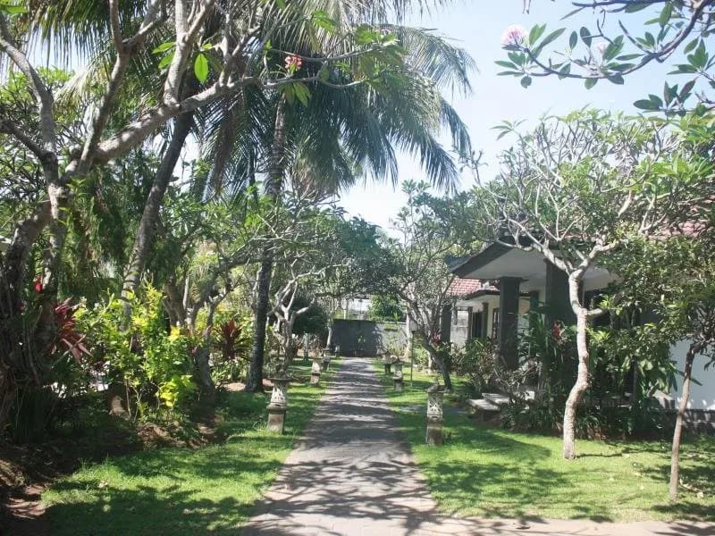 Jimbarwana Hotel 5