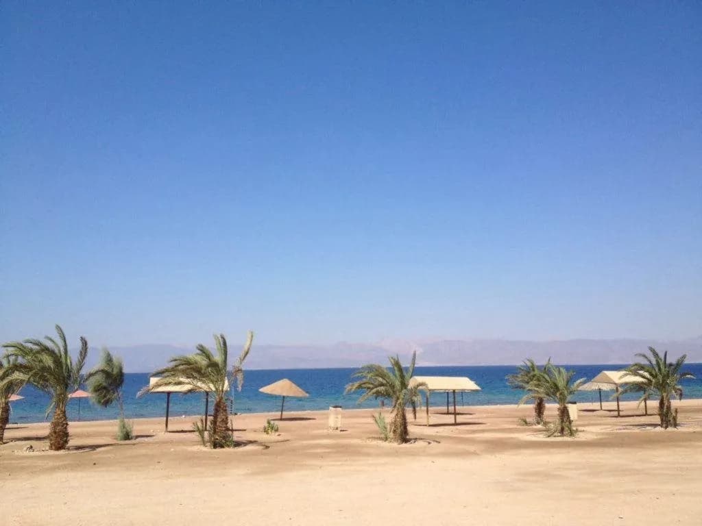 Red Sea Dive Center - Hotel & Dive Center 3