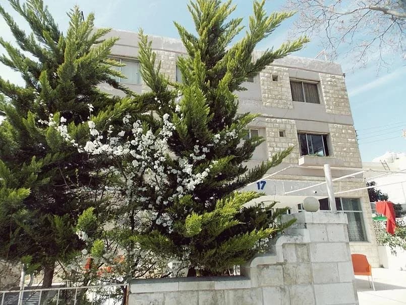Canary Hotel 3