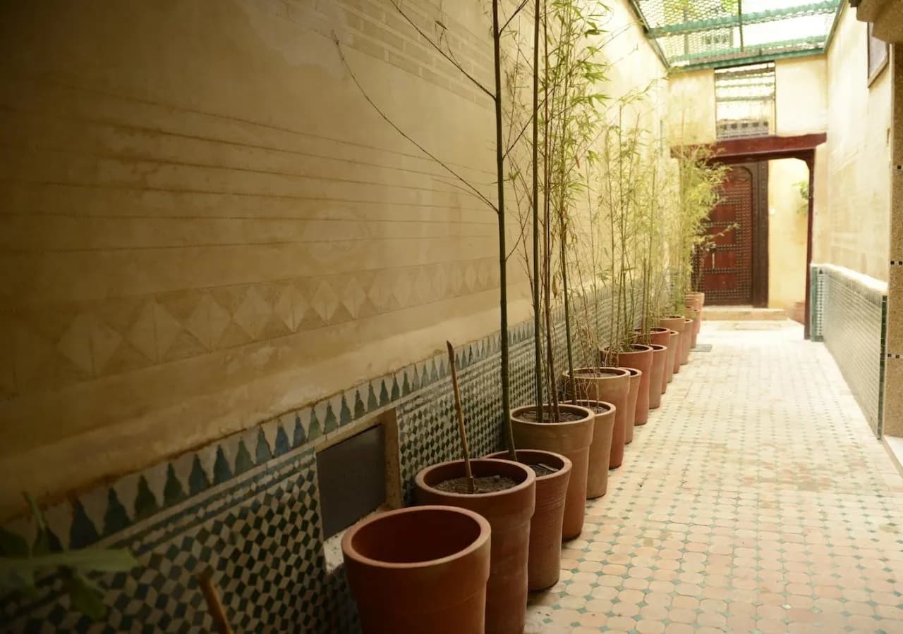 Riad El Yacout 4