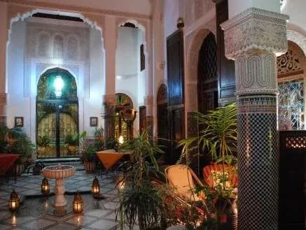 Riad Norma 3