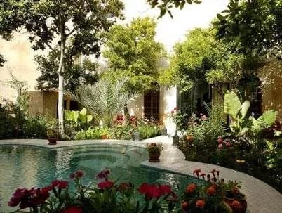 Riad Norma 4