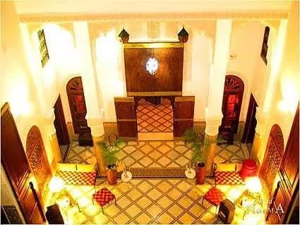 Riad Norma 5