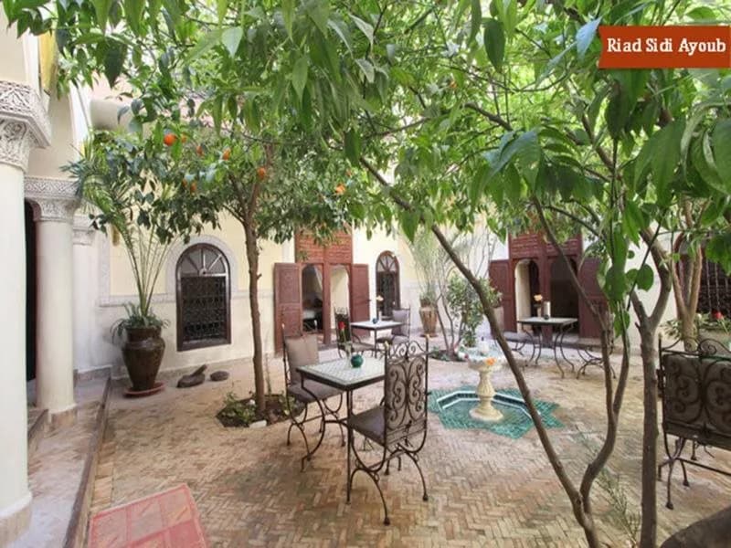 Riad Sidi Ayoub