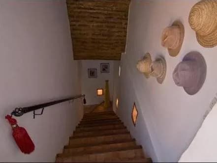 Riad Al Karama 5